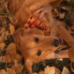 7CCD4DBB-C05E-4177-B887-05DD53620DCF