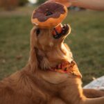 CF4C3BA2-53C7-4434-8EFA-6B7068B11B41